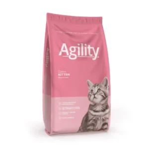 Agility Kitten