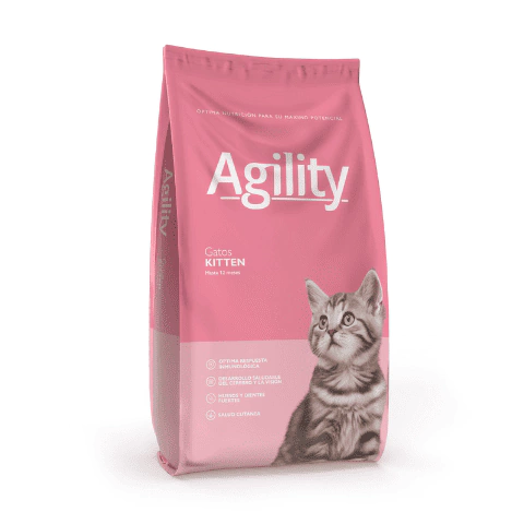 Agility Kitten