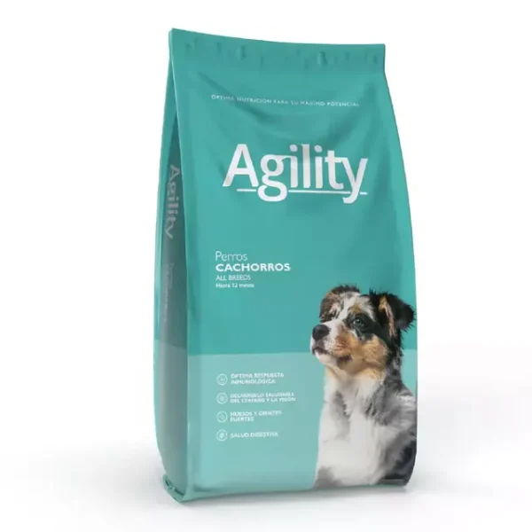 AGILITY PERRO CACHORRO