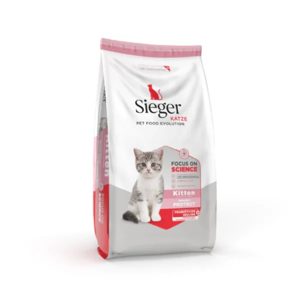 SIEGER KATZE KITTEN