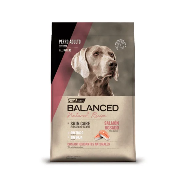 BALANCED NATURAL RECIPE PERRO SALMON
