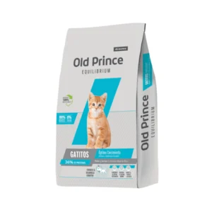 Old Prince Equilibrium Gato Kitten